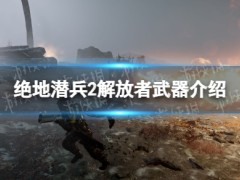 绝地潜兵2解放者武器介绍