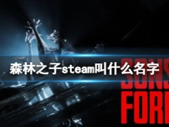 森林之子steam叫什么名字