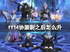 ff14协漩尉之后怎么升