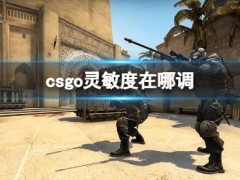 csgo灵敏度在哪调