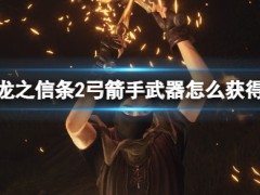 龙之信条2弓箭手武器大全