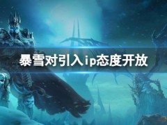 暴雪对引入ip态度开放