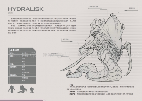 星际争霸2虫族兵种